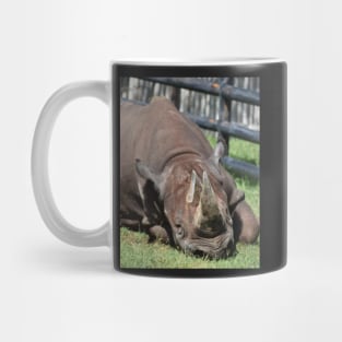 Black Rhino Mug